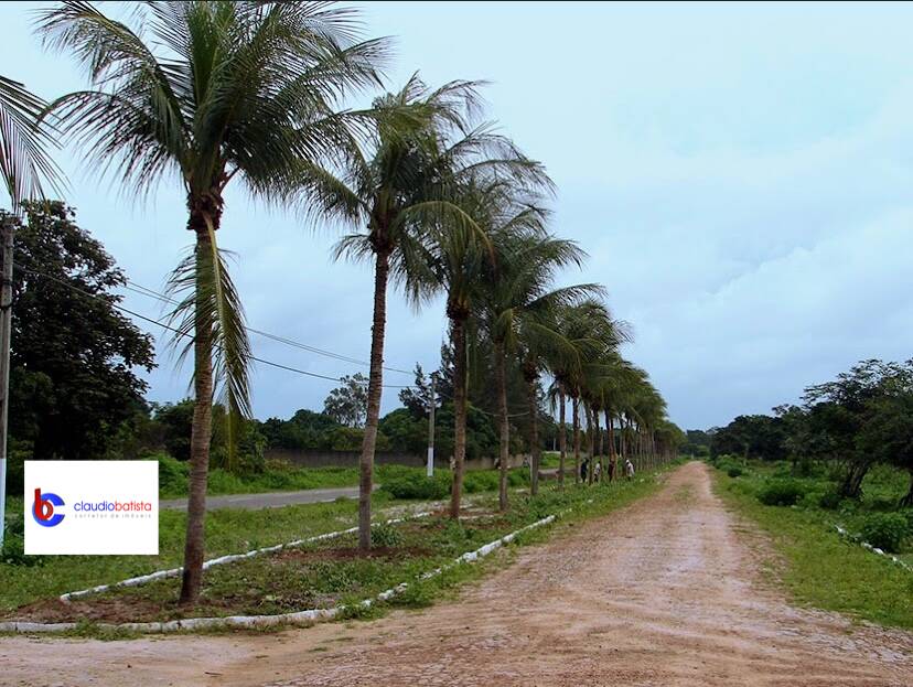 Terreno, 375 m² - Foto 12